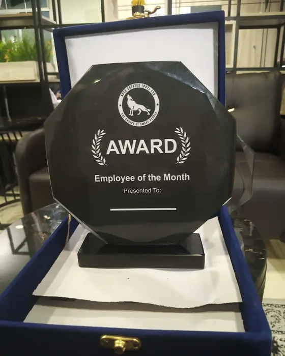 Employee of the Month award plaque in a blue velvet box